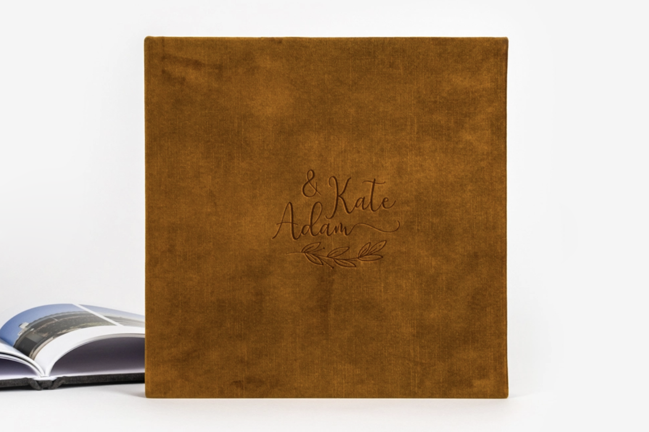 Celebrate – Veludo